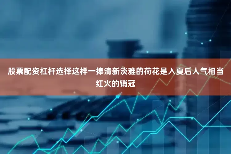股票配资杠杆选择这样一捧清新淡雅的荷花是入夏后人气相当红火的销冠