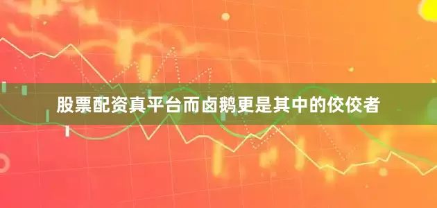 股票配资真平台而卤鹅更是其中的佼佼者