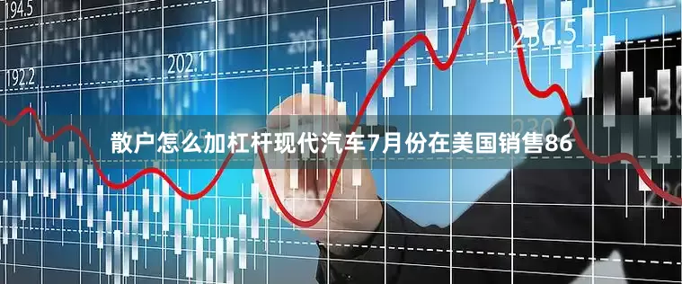 散户怎么加杠杆现代汽车7月份在美国销售86