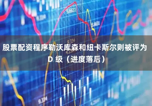 股票配资程序勒沃库森和纽卡斯尔则被评为 D 级（进度落后）